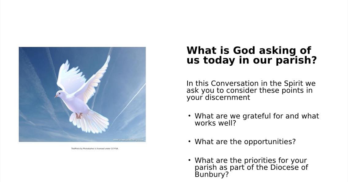 White dove flying in the blue sky symbolising peace and spirituality.
